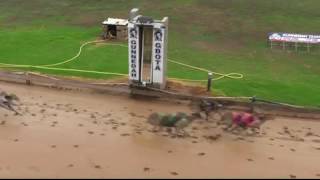 GUNNEDAH-04062016-RACE-2