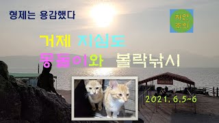 지심도 몽돌이와 볼락낚시