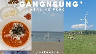 Gangneung vlog 🌳🐑🫧⌇First time to the beach in Korea!, the highest sheep farm in Korea, healing trip