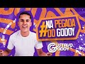 GUSTAVO GODOY - NA PEGADA DO GODOY (CD OFICIAL)