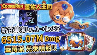 🌌薑餅人王國 | 👾Lv.1→Lv.55甘草海深淵(Living Abyss) ⚔️破65億(6,515M)初步隊伍配置🍰藍莓派餅乾超猛光束噴射🍬公會討伐戰 - Cookie Run: Kingdom