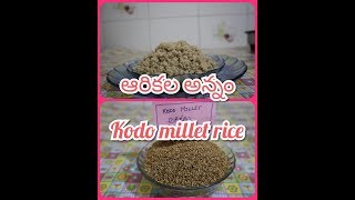 ఆరికల అన్నం||  Kodo millet Rice in telugu with English subtitles  || Health benifits of kodo millet