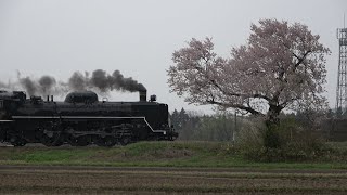 C57 180＋12系 SLばんえつ物語(8226レ)@2021.4.4