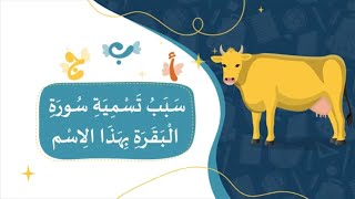 سبب تسمية سورة البقرة بهذا الاسم - قصص وحكايات للأطفال