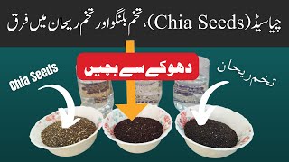 Chia Seeds,Tukham Balanga aur Tukhame Rehan main deference