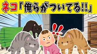 【総集編】夜寝る前に見る22分！癒され過ぎる赤ちゃん＆犬猫の小話2０連発【2chほのぼの】