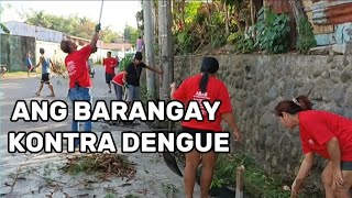 Ang Barangay Kontra Dengue Clean up day I Naglinis ng mga kanal at nagputol ng mga sanga ng puno