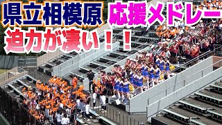 【 高校野球応援 】県立相模原　応援メドレー　迫力が凄い　ブラバン応援　県相　【夏・神奈川大会2回戦　県立相模原 vs 逗子開成】2023.7.10 サーティーフォー保土ヶ谷球場