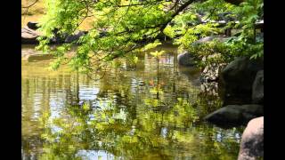 初夏の小松・芦城公園 June 8, 2011