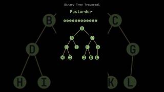 Binary Tree Traversal : Postorder | #datastructure #viral #shorts #short #datastructures #