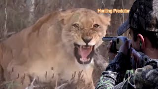 Zero distance between a lion and a hunter Part 7