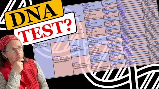 Horse DNA Testing Explained -The ingenious way it works.