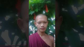 ពន្លឺព្រះអាទិត្យ