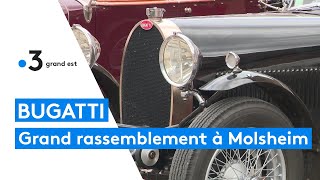 Festival Bugatti : des voitures prestigieuses de toute l'Europe réunies à Molsheim