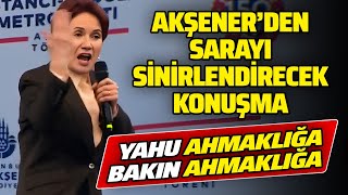 Meral Akşener'den Sarayı Sinirlendirecek Konuşma: "Yahu Ahmaklığa Bakın Ahmaklığa!"
