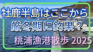 桃浦漁港散歩 2025年1月 修正版