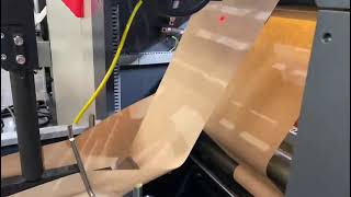 ROKIN brand RKJD-250 v bottom paper bag machine