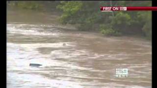 Ipswich Flood Idiots