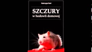 Szczury w hodowli domowej - ebook - poradnik