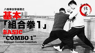 八極拳技擊基礎概念之『組合拳1』Bajiquan Combat Essentials - \