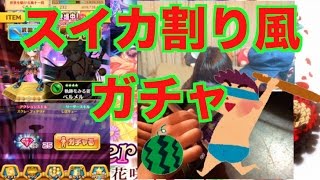 【白猫プロジェクト】ドラゴンライダー強化記念ガチャ Flower of Grace スイカ割り風にガチャ引いてみた。ガチャオカルト検証