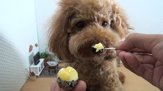 Mini Food Pudding 食べられるミニチュアプリン/犬も食べられる！ミニチュアプリン！