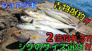 【ショアジギング】ロックショアで青物爆釣❗️これが釣果が倍になるジグのサイズ選びです‼️