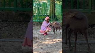 鹿に餌やりで楽しむ観光客🫎奈良公園