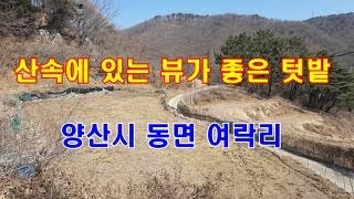 매물번호463번.산속에 있는 뷰가 좋은 텃밭.양산시 동면 여락리.                  010-6838-7070