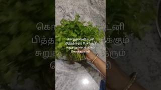 Coriander chutney # கொத்தமல்லி சட்னி#my favorite 😋@Subyjom