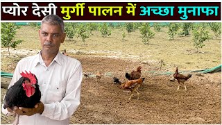 प्योर देसी मुर्गी पालन में अच्छा कमाई Pure Desi Murgi Palan | Desi Poultry Farming