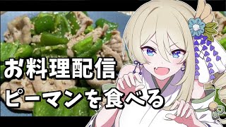 【📷カメラ枠/🍳お料理】夜ご飯を食べる【新人Vtuber】お料理配信