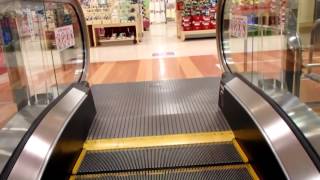 HAPPY ESCALATOR MONDAY!モリタウン（イトーヨーカドー昭島店）東芝エスカレーター TOSHIBA Escalators/l'escalator