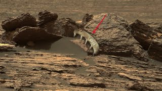 Mars perseverance Rover Captured a New 4k Stunning Video Footage of Mars Surface||