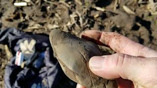 Arrowhead hunting Indian artifacts find a Banner stone