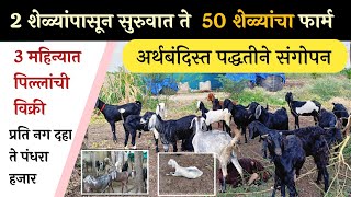 2 शेळ्यांपासून सुरुवात ते 50 काठेवाडी शेळ्यांचा फार्म 🐐 🐐 अर्धबंदिस्त पद्धतीने सांभाळ 💯😀