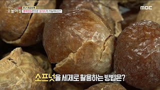 [생방송 오늘 아침] 열매껍질로 설거지가 가능하다?!, MBC 220310 방송