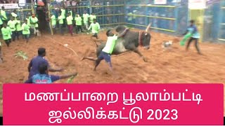 மணப்பாறை பூலாம்பட்டி ஜல்லிக்கட்டு |Manaparai Poolampatti jallikattu |Jallikattu | namma Trichy |