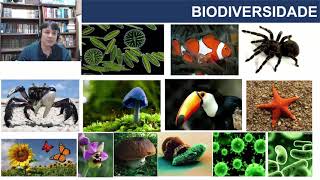 Diversidade Biológica: Estudos das relações evolutivas e Classificação dos Seres Vivos - videoaula 1