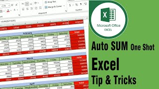 Auto SUM One Shot | Excel Tip \u0026 Tricks | Master Excel AutoSum in 3 Minutes!