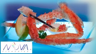 NOVA  Southern Red King Crab