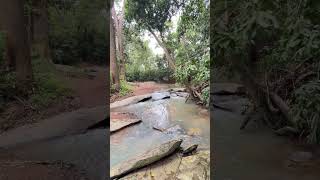 Nadhi pogum kuzangal ♥️ River #youtube #travel #tourism