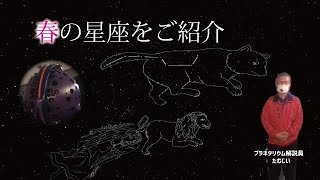 【プラネタリウム】春の星座をご紹介