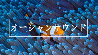 3分以内に眠りに落ちる- 心と体の回復 - メラトニン放出