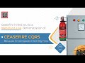 Ceasefire CQRS | Live Webinar