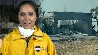 ABC News Reporter Covering LA Fires Reveals Her Home Burned Down