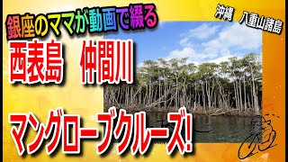 【日本最大のマングローブ仲間川クルーズ！】『八重山諸島シリーズ「西表島（いりおもてじま）観光』銀座のママが動画で綴る旅行記!