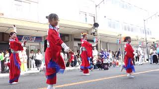 08 憂喜世桜 ザ・まつり in IZUMISANO 2019 右側