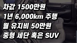 1500만원 중고차, 뻔하지만 상품성은 확실한 차량 몇대 (구독자 중고 추천)