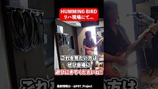 【貴重】HUMMING BIRD リハーサル現場に潜入！完成した福山芳樹モデルお渡しの様子をチラ見せ！！ #shorts #ギター #kzguitarworks #hummingbird #福山芳樹